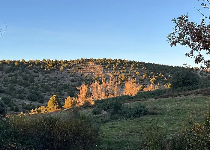 公寓 Sines Housing In *